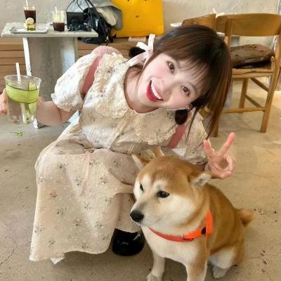 镜像迷踪